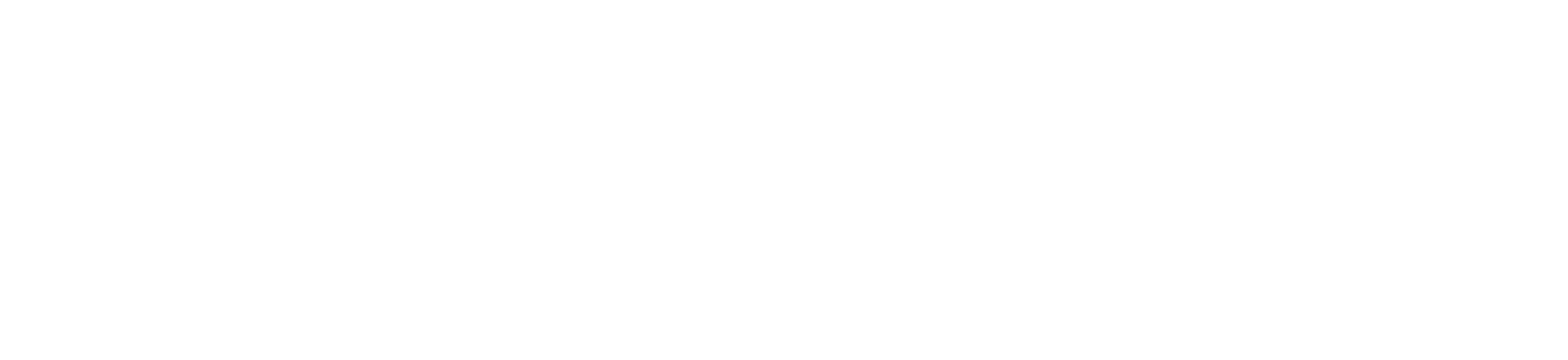 Fiza Global — Smart Outcomes